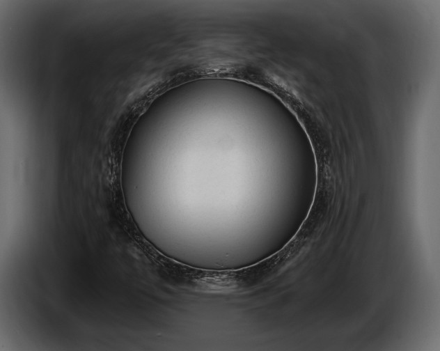 X0000085821447200703231346