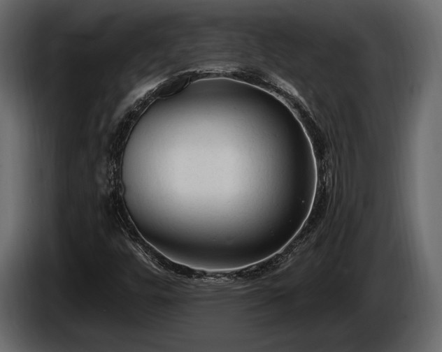 X0000085821448200703231346
