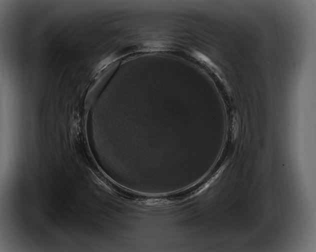 X0000085821449200703231346