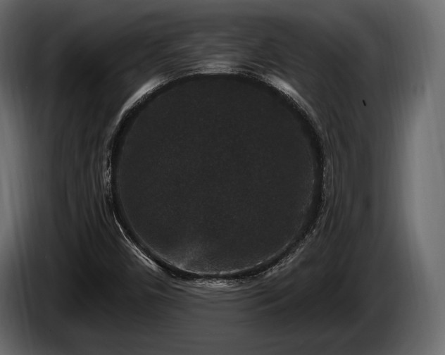 X0000085821450200703231346