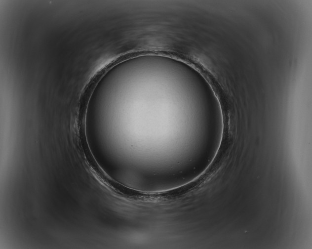 X0000085821452200703231346