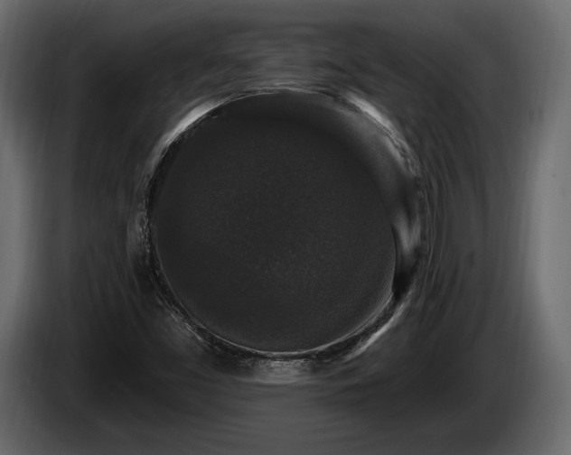 X0000085821453200703231346