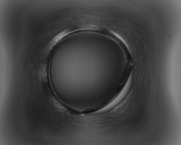 X0000085821455200703231346