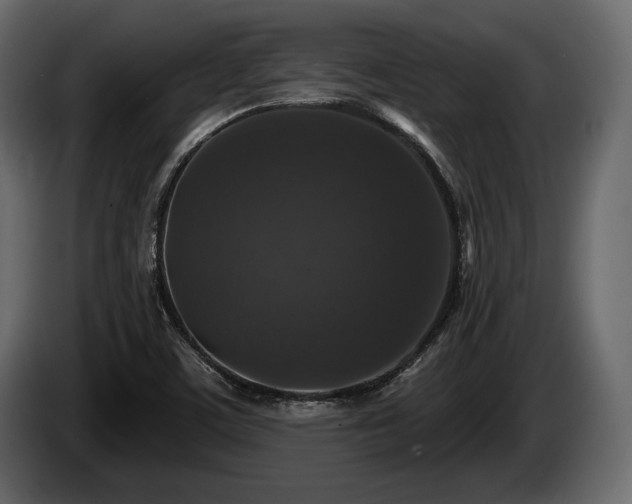 X0000085821459200703231346