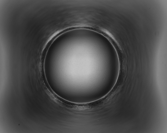 X0000085821460200703231346