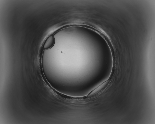 X0000085821464200703231346