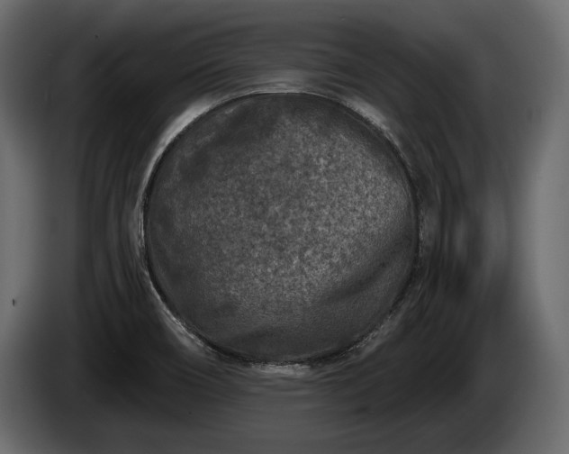 X0000085821466200703231346