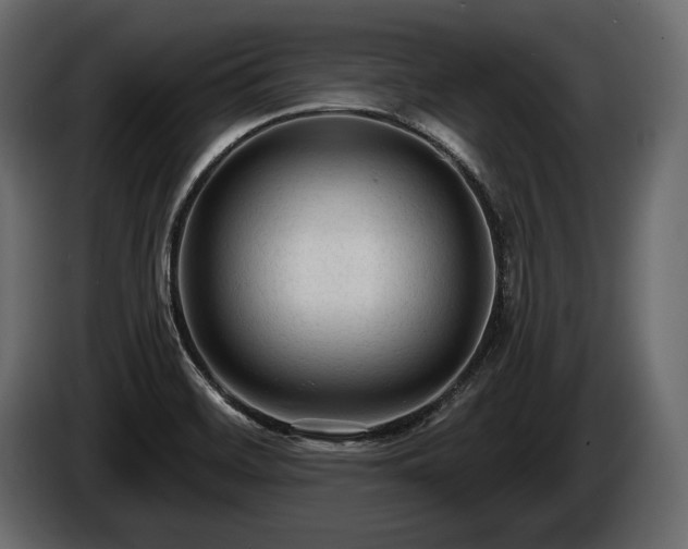 X0000085821468200703231346