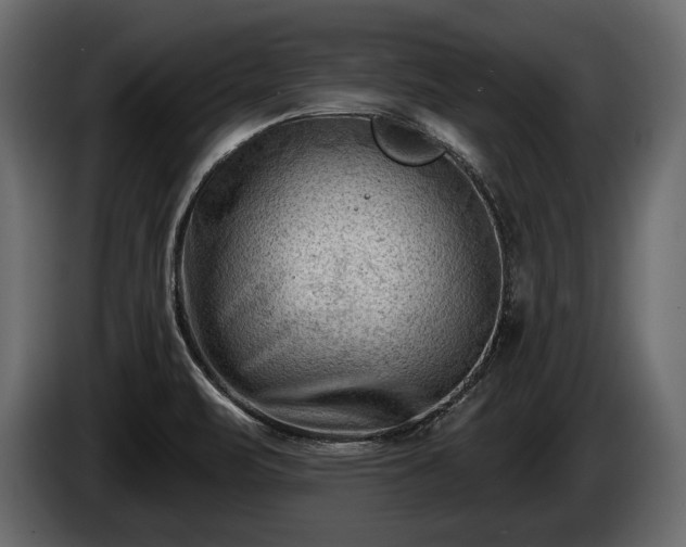 X0000085821471200703231346