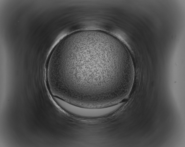 X0000085821476200703231346