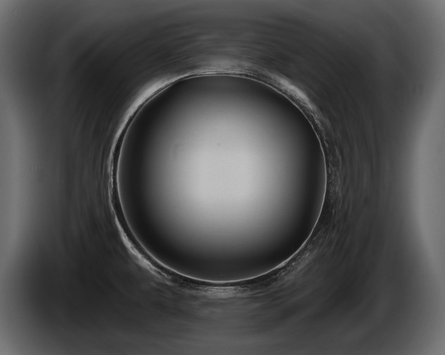 X0000085821479200703231346