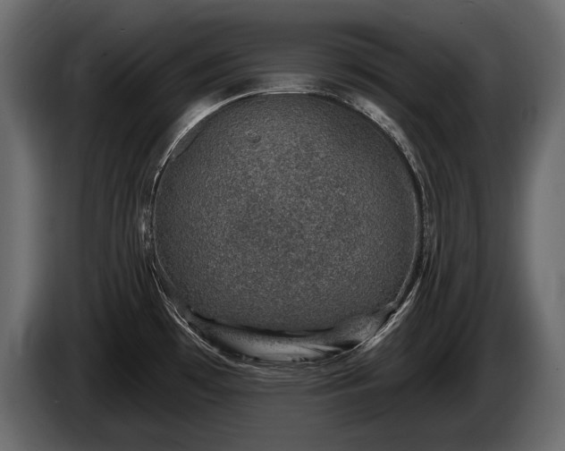 X0000085821481200703231346