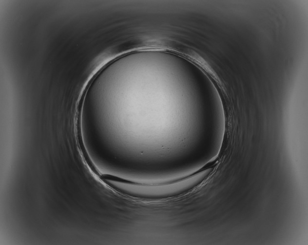 X0000085821484200703231346