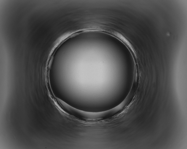 X0000085821485200703231346