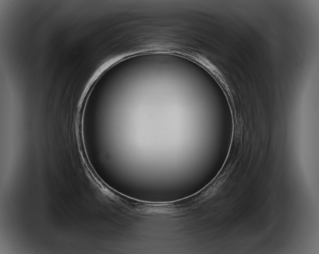 X0000085821486200703231346