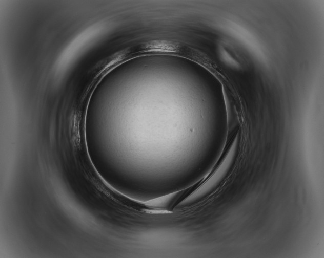 X0000085821487200703231346