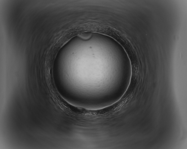 X0000085821489200703231345