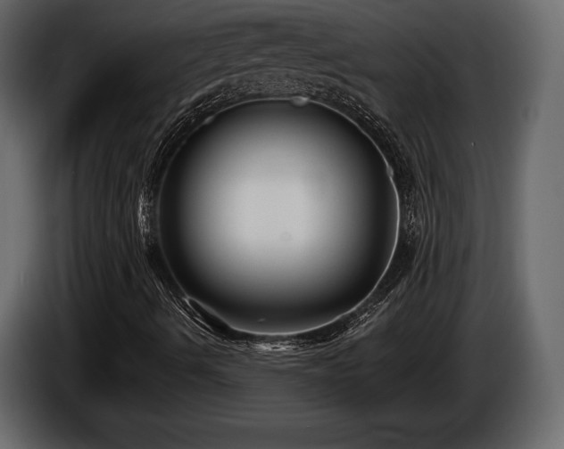 X0000085821490200703231345