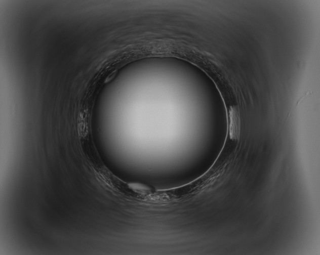 X0000085821491200703231345