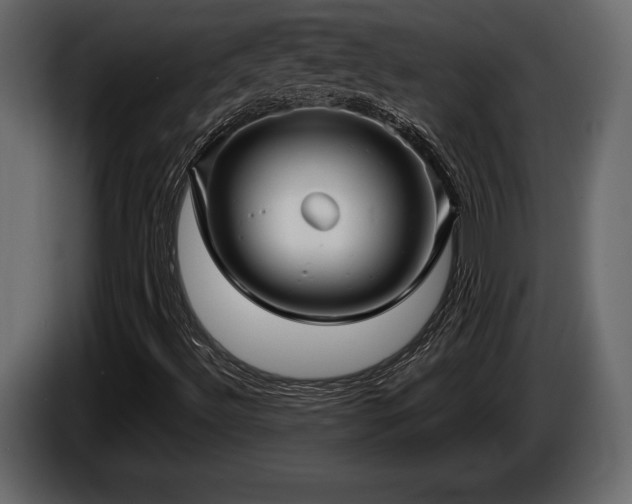 X0000085821492200703231345