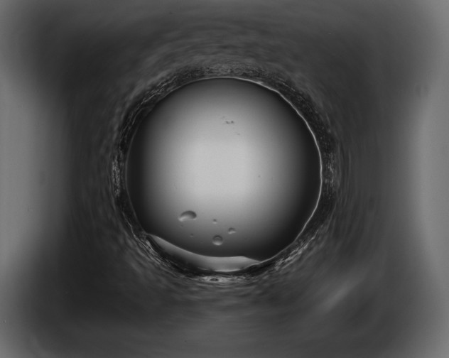 X0000085821493200703231345