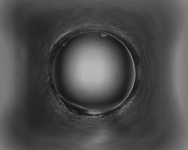 X0000085821494200703231345