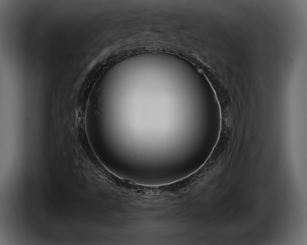 X0000085821495200703231345