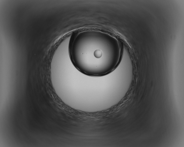 X0000085821496200703231345