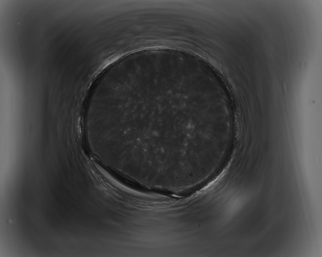 X0000085821497200703231345