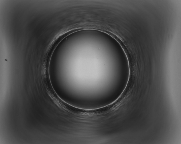 X0000085821499200703231345