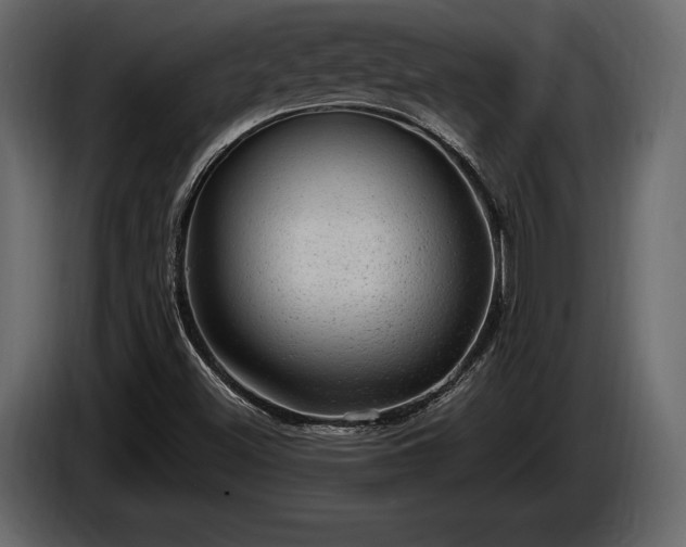 X0000085821500200703231345