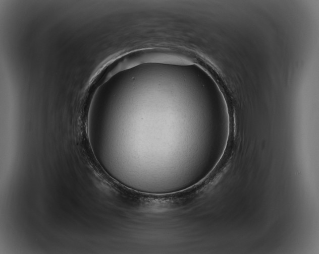 X0000085821501200703231345