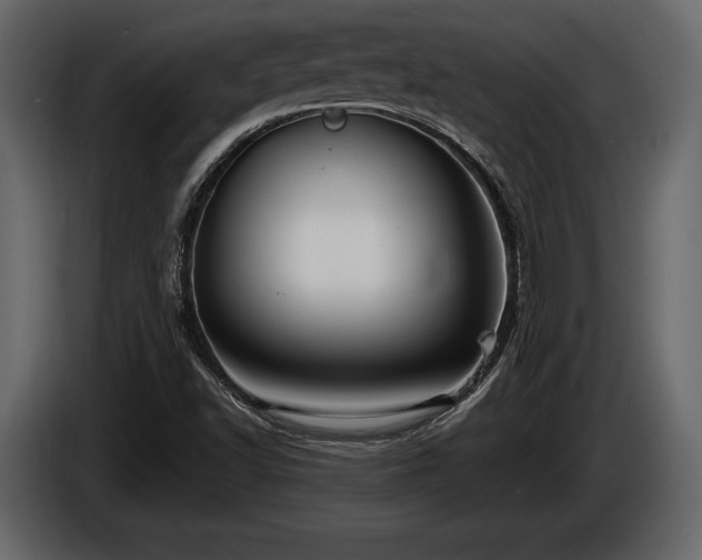 X0000085821502200703231345