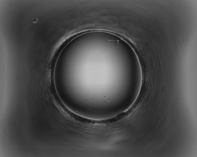 X0000085821503200703231345