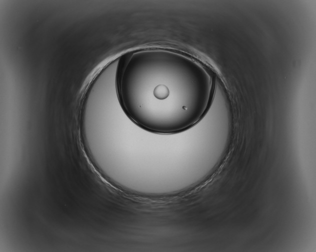 X0000085821504200703231345