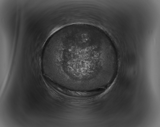 X0000085821505200703231345