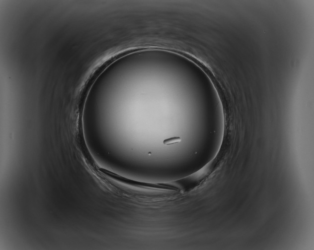 X0000085821507200703231345