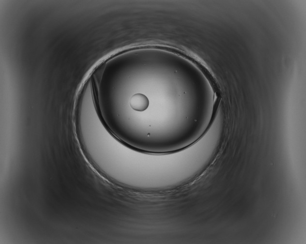 X0000085821508200703231345