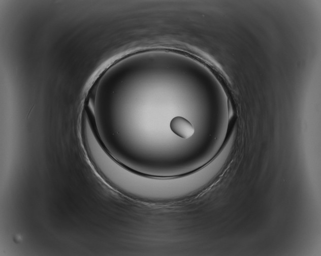 X0000085821512200703231345