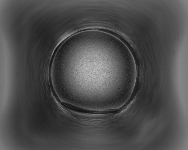 X0000085821513200703231345