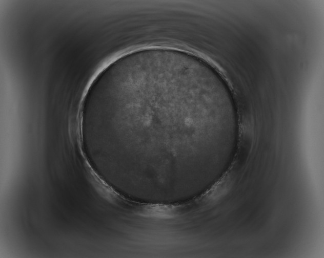 X0000085821514200703231345