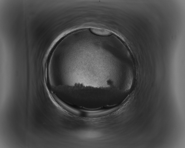X0000085821515200703231345