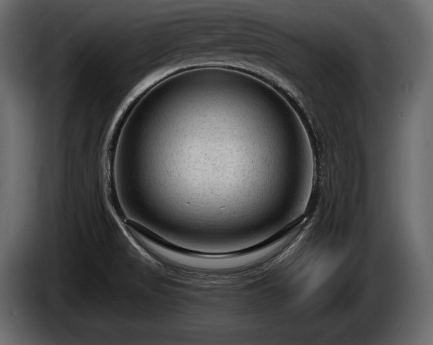 X0000085821517200703231345