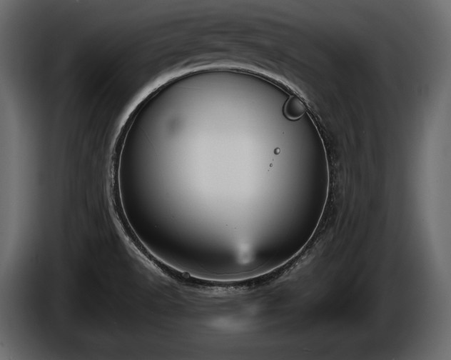 X0000085821518200703231346