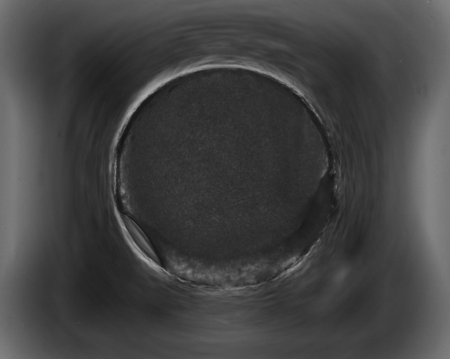 X0000085821519200703231346