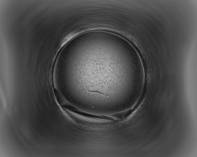 X0000085821521200703231346