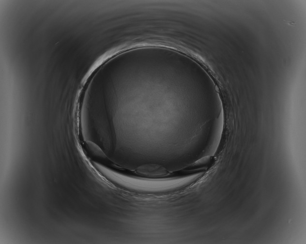 X0000085821522200703231346