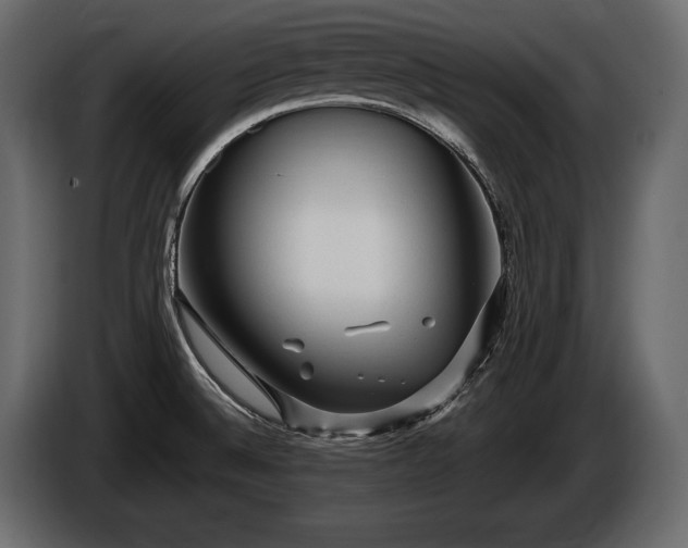 X0000085821524200703231346