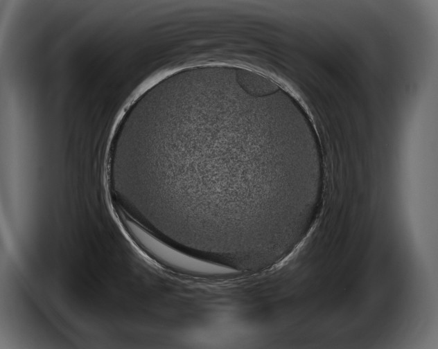 X0000085821525200703231346