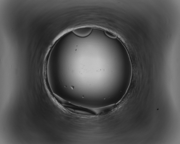 X0000085821526200703231346